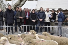 fete_agneau_pascal_2018 (22)