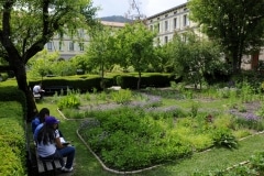 jardin_cordeliers (2)