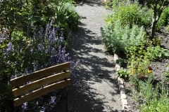 jardin_cordeliers (3)