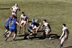 rugby2018 (20)