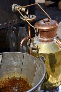 Distillation du lavandin