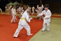 50_ANS_JUDO_CLUB_DIGNOIS-11-WEB