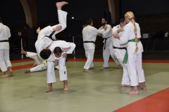 50_ANS_JUDO_CLUB_DIGNOIS-13-WEB