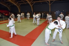 50_ANS_JUDO_CLUB_DIGNOIS-4-WEB