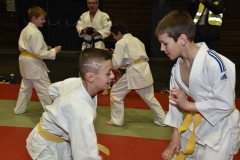 50_ANS_JUDO_CLUB_DIGNOIS-8-WEB