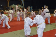 50_ANS_JUDO_CLUB_DIGNOIS-9-WEB